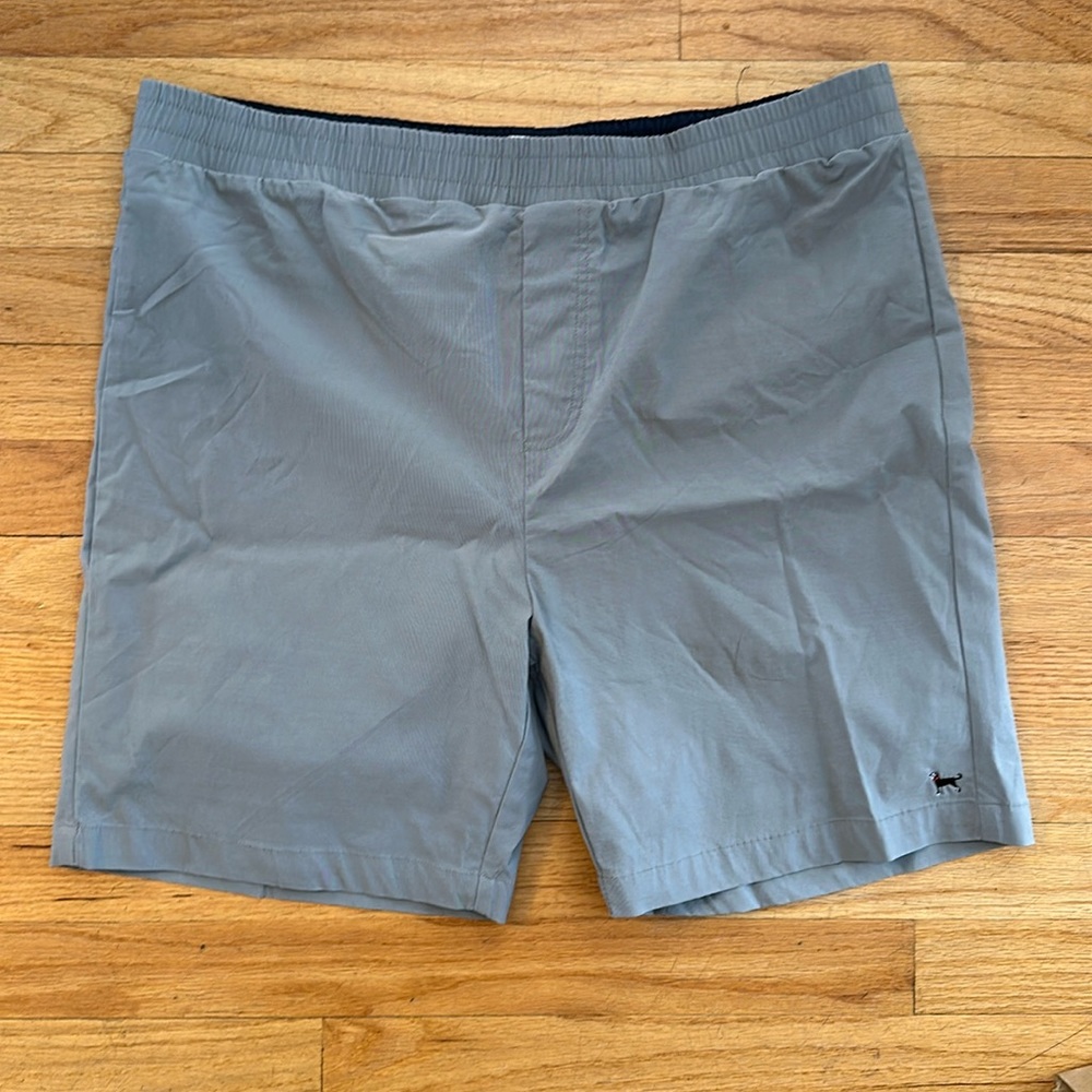 The Black Dog Men's Athletic Shorts in Light Gray